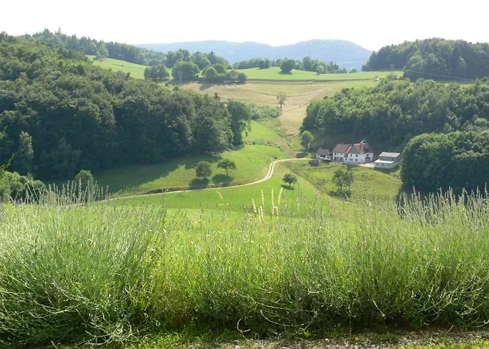 Gite La Sapiniere