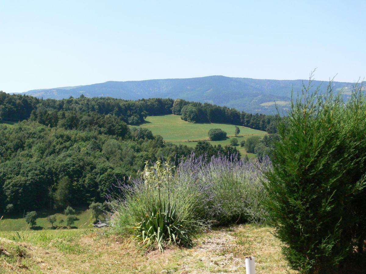 La Sapiniere